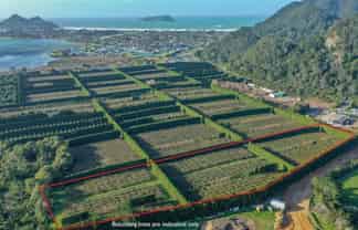 32 Gooseberry Grove, Pauanui