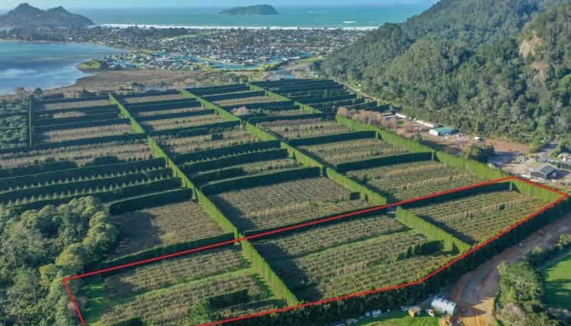 32 Gooseberry Grove, Pauanui