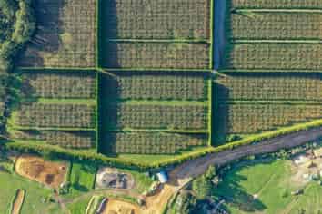 32 Gooseberry Grove, Pauanui