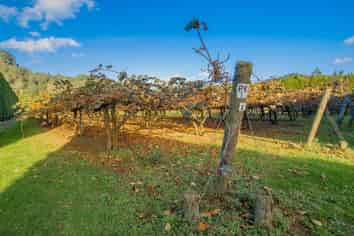 32 Gooseberry Grove, Pauanui