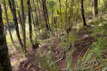 1B Sullivans Road, Paihia