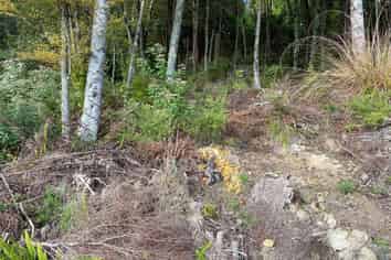 1B Sullivans Road, Paihia