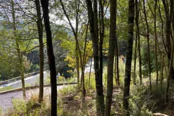 1B Sullivans Road, Paihia