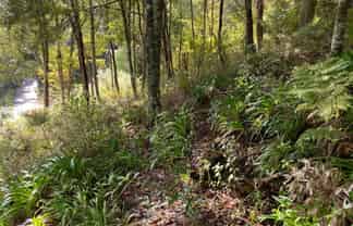 1B Sullivans Road, Paihia