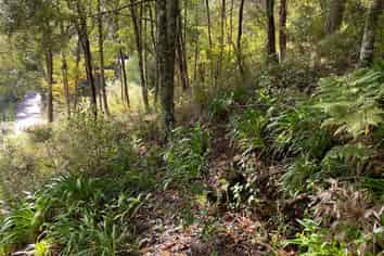 1B Sullivans Road, Paihia