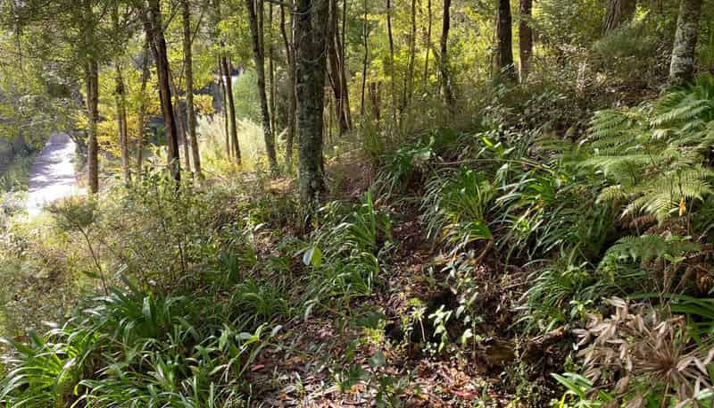 1B Sullivans Road, Paihia