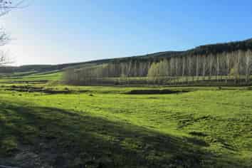 176 Monamore Road, Avondale, Winton