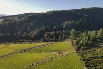 176 Monamore Road, Avondale, Winton