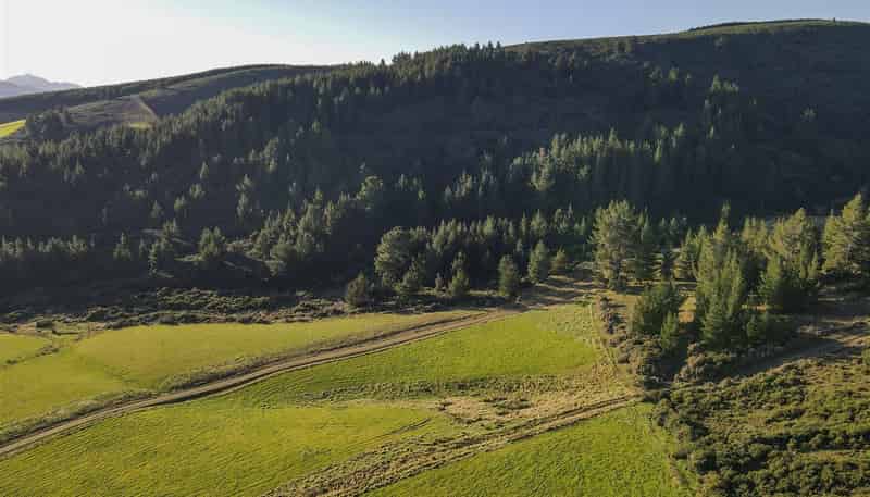 176 Monamore Road, Avondale, Winton