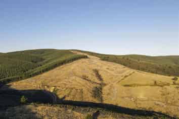 176 Monamore Road, Avondale, Winton