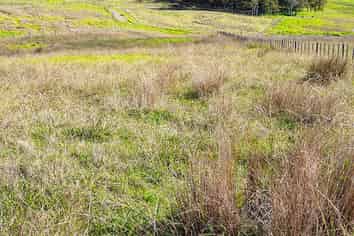 26 Ariels Lane, Paparoa