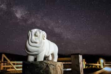 . Musterers Way, Twizel