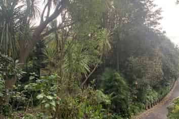 17B Chatfield Place, Remuera