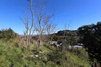 23 Darwin Road,, Inner Kaiti