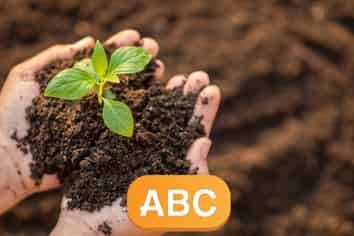 Service Industry, Managed, Forecasted Profit $500k