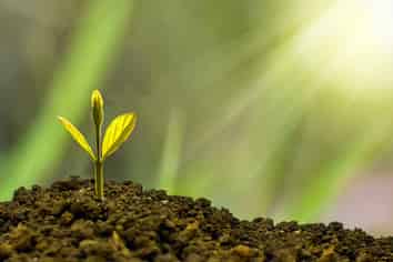 Service Industry, Managed, Forecasted Profit $500k