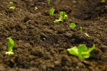 Service Industry, Managed, Forecasted Profit $500k