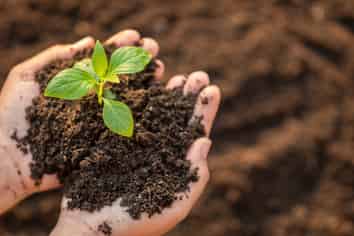 Service Industry, Managed, Forecasted Profit $500k