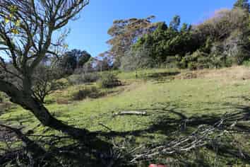 25 Darwin Road, Inner Kaiti