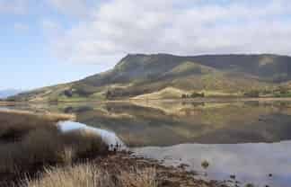 21 Pakawau Bush Road, 