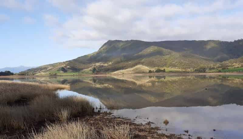 21 Pakawau Bush Road, 
