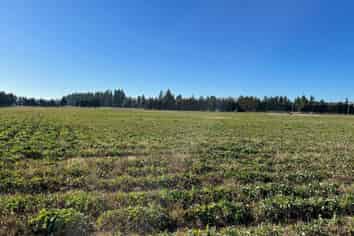 22 Garthmyl Road, Middlemarch