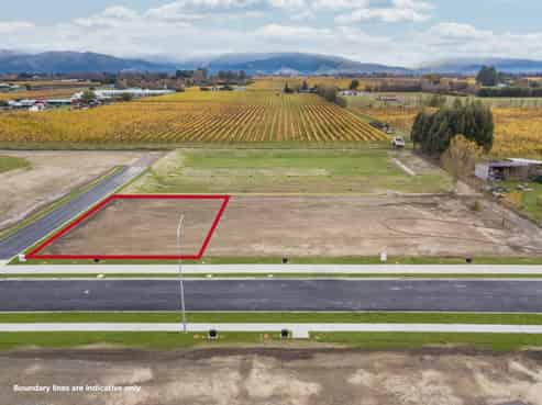 First-mover advantage: design, build and lease