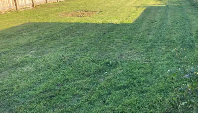 12C Russell Street, Feilding