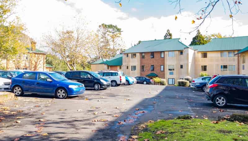 125 zzCarrington Road, Point Chevalier