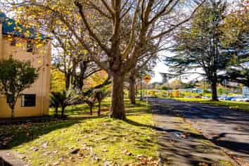 125 zzCarrington Road, Point Chevalier