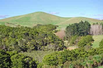 16 Barnfield Road, Kaiwaka