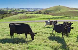 16 Barnfield Road, Kaiwaka