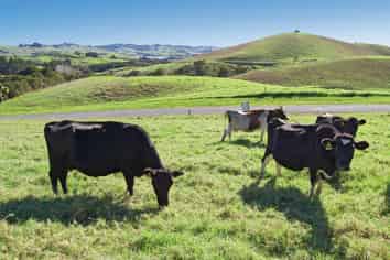 16 Barnfield Road, Kaiwaka