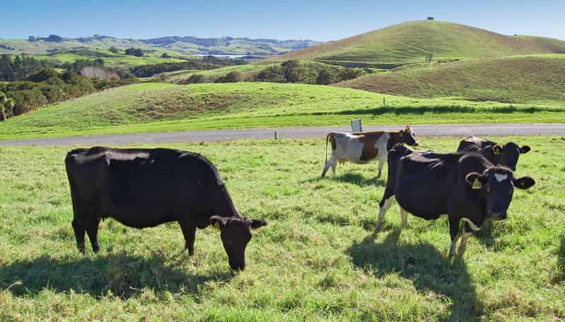 16 Barnfield Road, Kaiwaka