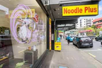 146-148 Vivian Street, Te Aro