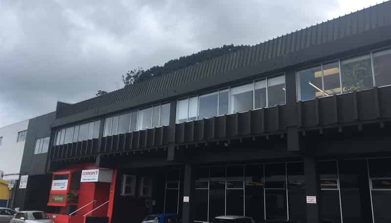 Level 1, 6 Broomhedge Street, Mount Cook