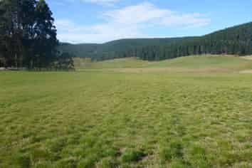  Waihola Highway, Waihola