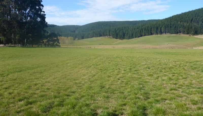  Waihola Highway, Waihola