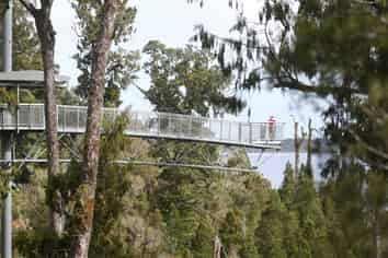 Substantial tourism adventure operation