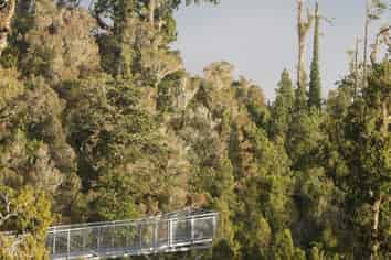 Substantial tourism adventure operation