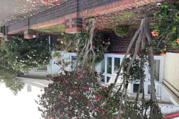 183 Park Road, Grafton