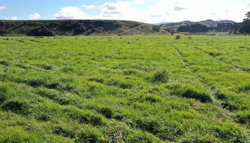 1 North Road, Eketahuna