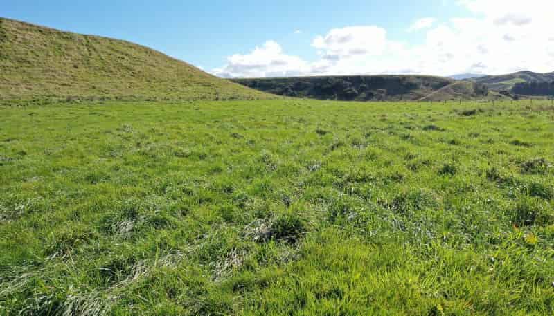 3 North Road, Eketahuna