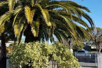 One of Nelson's Best Performing Motel Leases