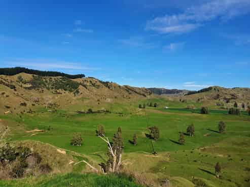  Pukeiti Road, 