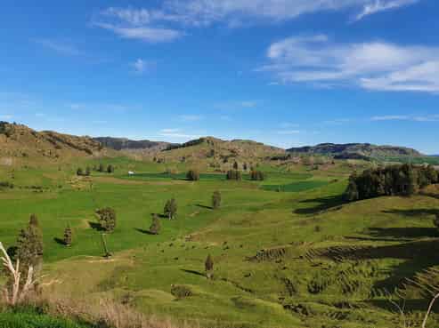  Pukeiti Road, 