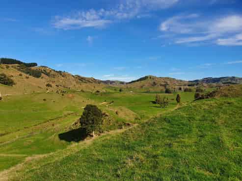  Pukeiti Road, 
