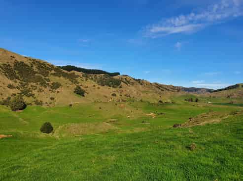  Pukeiti Road, 