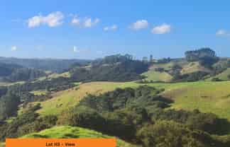 Lot Bare/560 Krippner Road, Puhoi