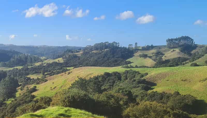 Lot Bare/560 Krippner Road, Puhoi